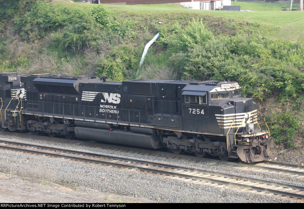 NS 7254